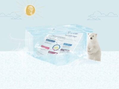 Polar bear guarding credit report in ice, representing how to freeze your credit