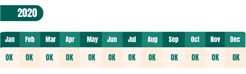 Example payment history with 29-day late payment