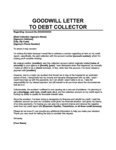 example of a goodwill letter to send to a debt collector