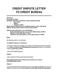 Credit dispute letter to credit bureau