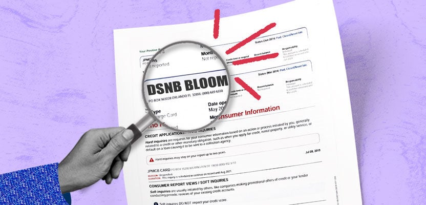 Credit report showing DSNB Bloom inquiry