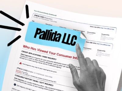 Credit report showing Pallida LLC collection account